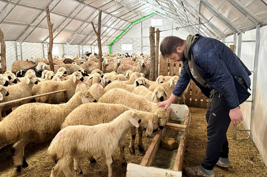 Hayalinin peşinden koştu, Konya Ovası Projesi’yle besici oldu 2